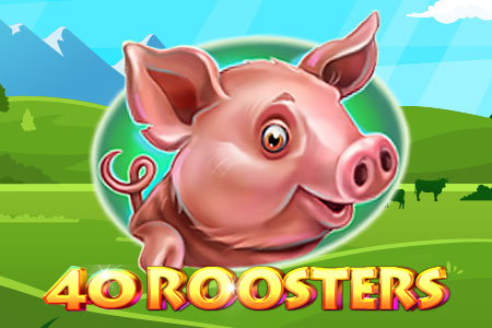 40 Roosters